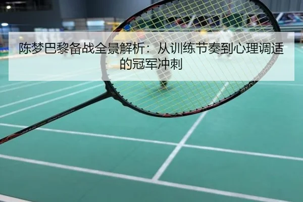 陈梦巴黎备战全景解析：从训练节奏到心理调适的冠军冲刺