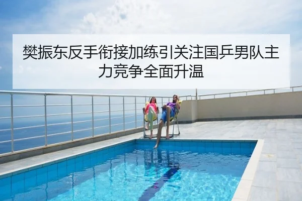 樊振东反手衔接加练引关注国乒男队主力竞争全面升温