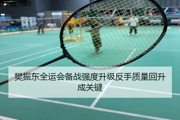 樊振东全运会备战强度升级反手质量回升成关键